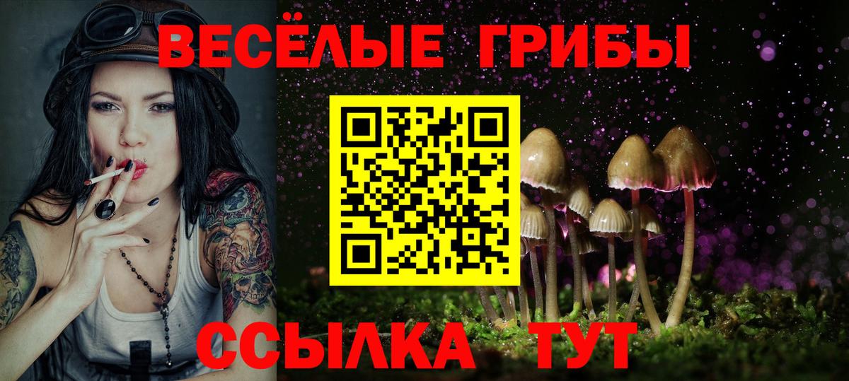 Чусовой  Галлюциногенные грибы MAGIC MUSHROOMS  Вход с VPN 